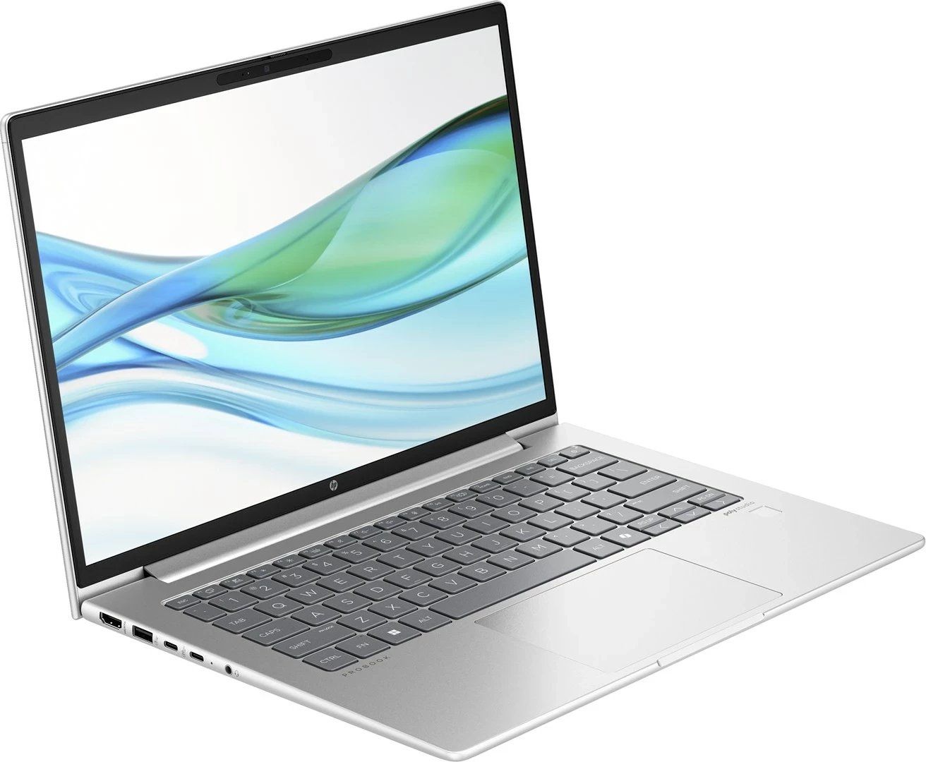 Laptop HP ProBook 445 G11, AMD Ryzen 3 7335U, 14", 8 GB RAM, 512 GB SSD, Argjend