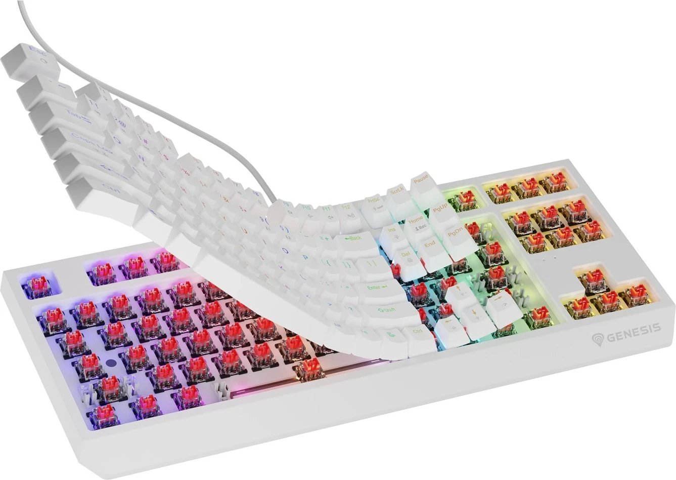 Tastierë mekanike GENESIS Thor 230 TKL, QWERTY, US English, RGB, e bardhë