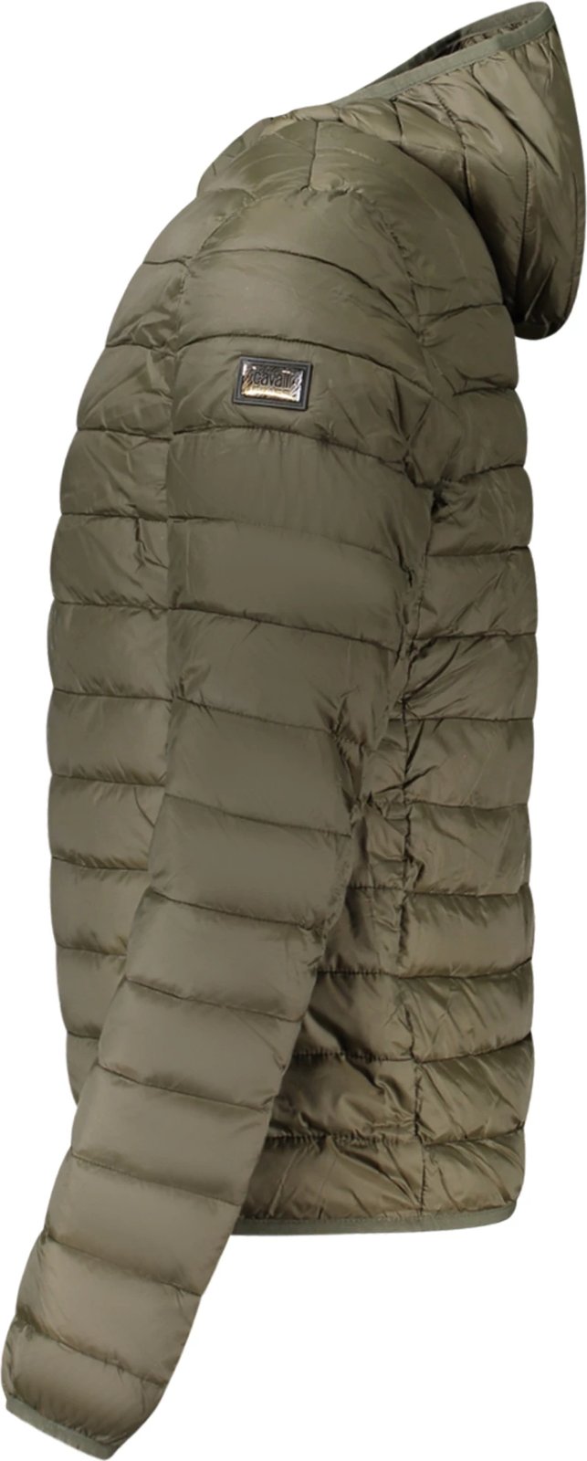 Jakne për meshkuj CAVALLI CLASS, e gjelbër