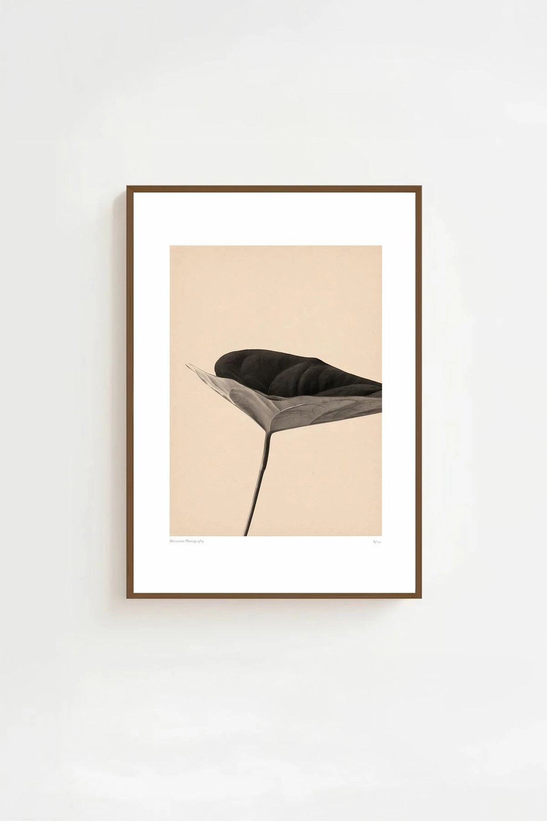 Pikturë dekorative me kornizë, Wallity, Lmnmdlkahve44, shumëngjyrëshe, 33x48cm