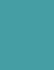 Llak për thonj Sally Hansen Hard As Nails 640 Dia-Mint për femra blu 13,3ml