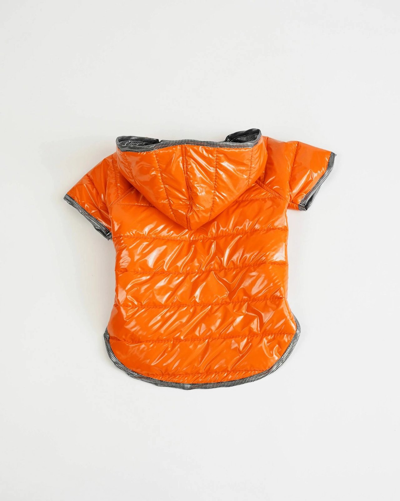 Hoodie për qen, Moncler, portokalli, Paws & Whiskers