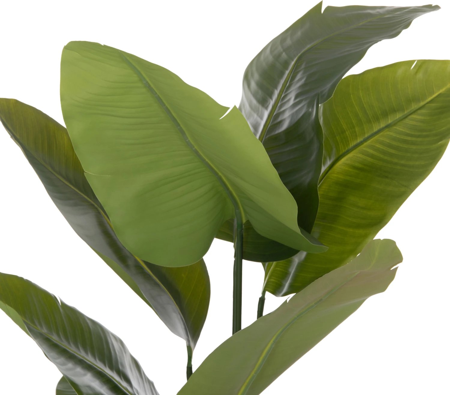 Bimë sintetike dekorative në vazo, Strelitzia, FH4739, Φ18x172cm