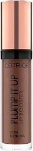 Catrice Plump It Up Lip Booster 100