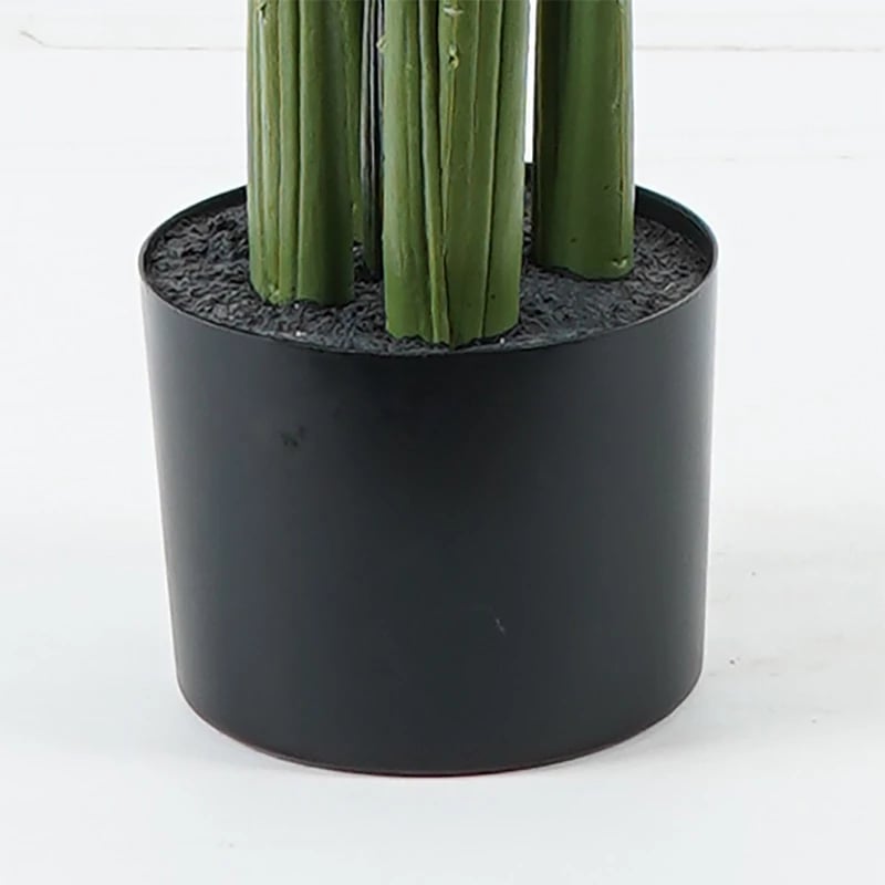 Bimë dekorative Aglaonema në vazo, ngjyrë e gjelbër, 80x150cm