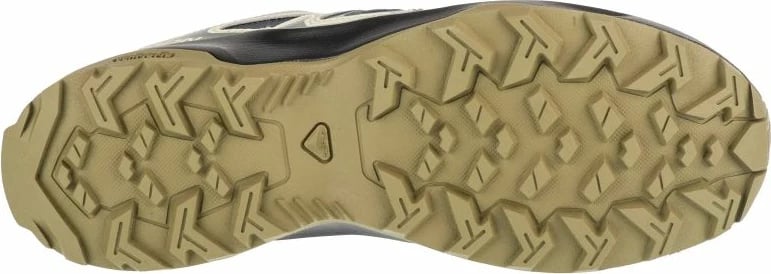 Atlete për meshkuj Salomon, të kaltra