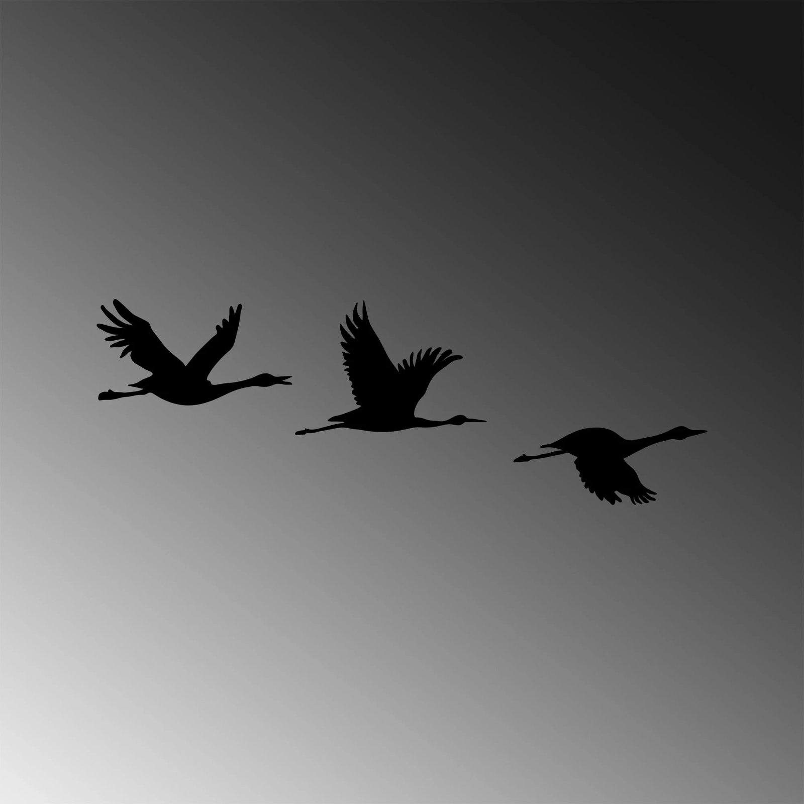 Aksesor dekorativ metalik për mur, zogj migrantë, ngjyrë e zezë, 3 copë, Wallity - 302