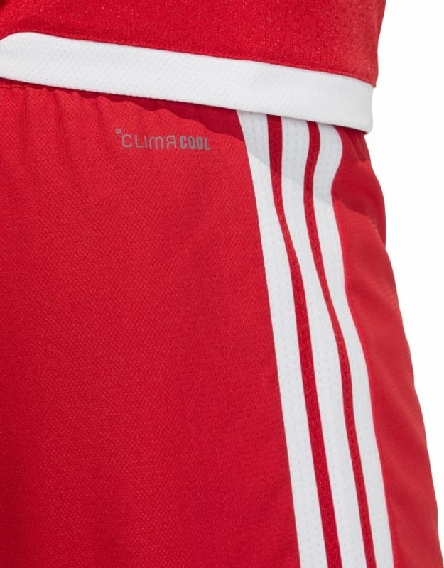Shorce për meshkuj adidas, të kuqe dhe të bardha