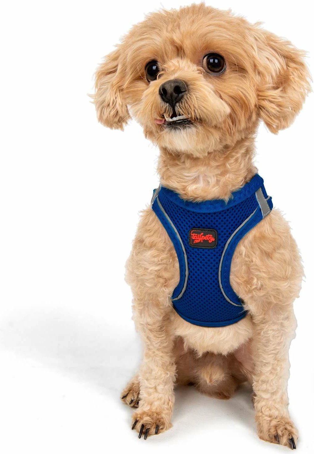 Parzmore për qen, Air-Mesh, ngjyrë sax blue