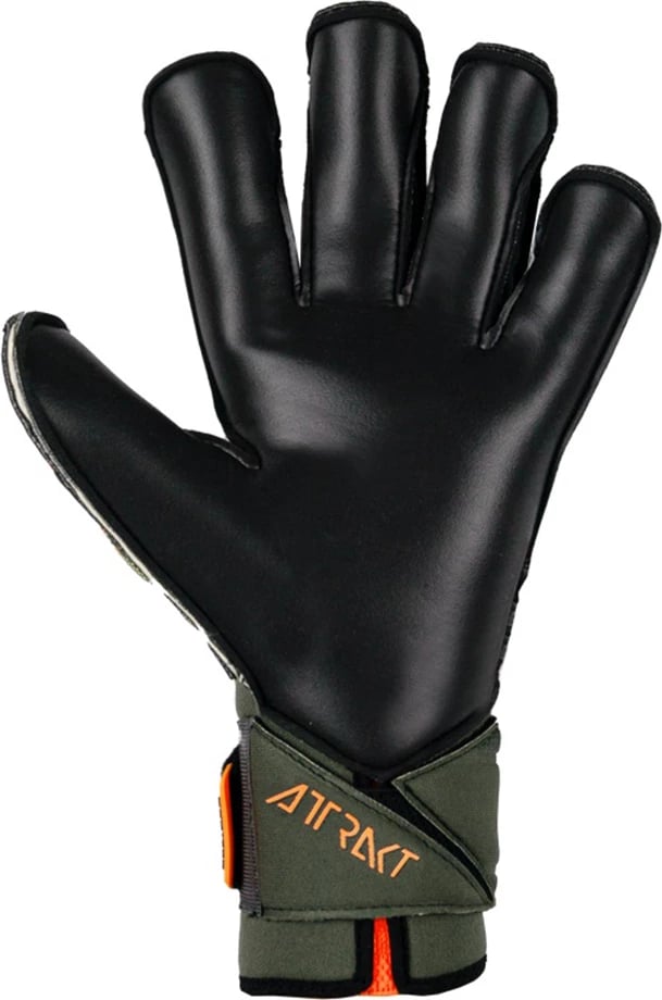 Doreza portieri Reusch për meshkuj, gjelbër e zezë