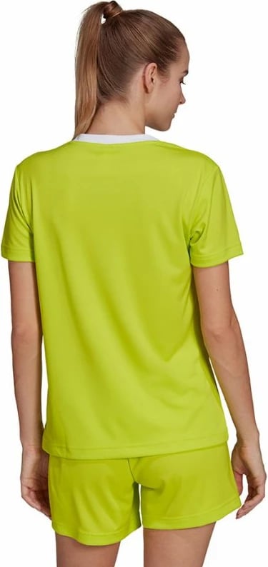 Maicë për Femra adidas Entrada 22 Jsy, ngjyrë jeshile HC5080