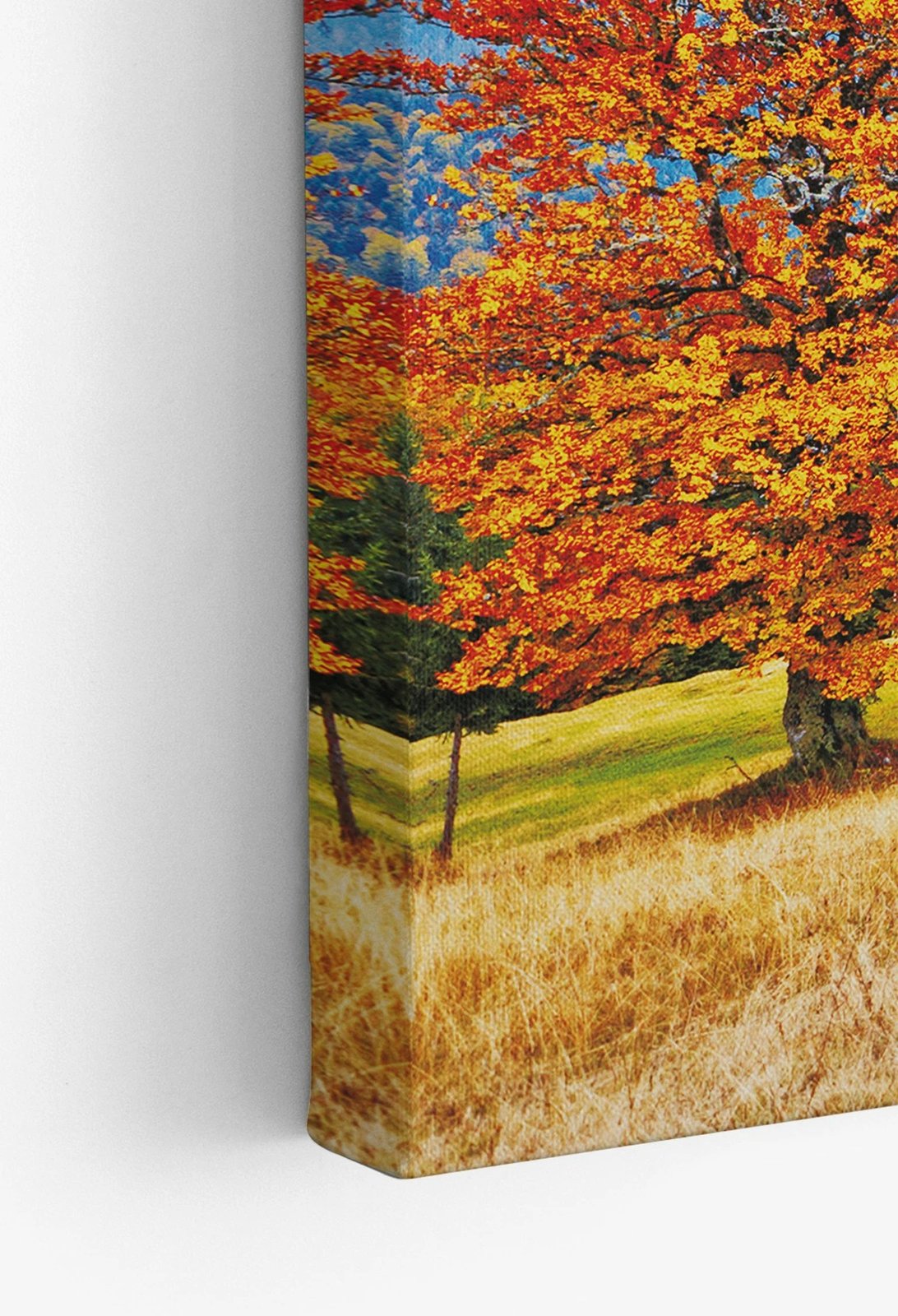 Pikturë dekorative në kanavacë, shumëngjyrëshe, Wallity Ersyfdc45, 40x60cm