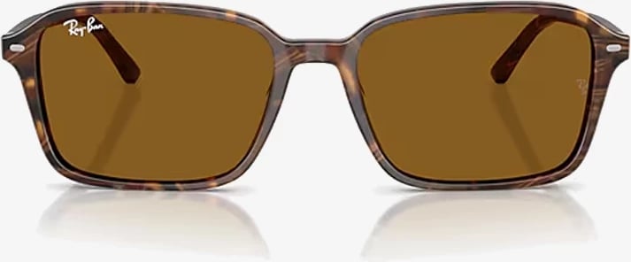 Syze dielli Ray-Ban RB2231 141833 56