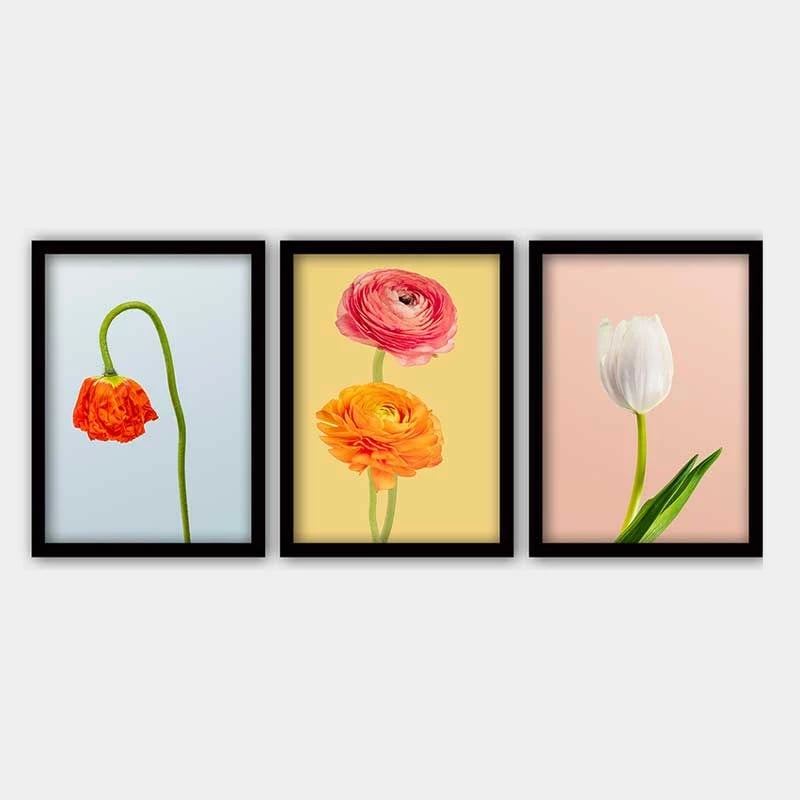 Pikturë dekorative me kornizë (3 copë), Wallity, 3SC_41955467_5575