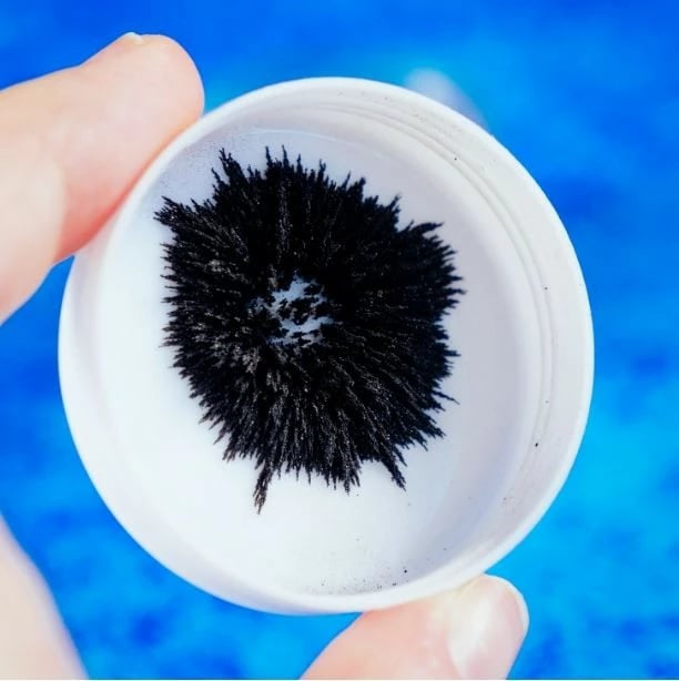 Set shkencor për magnetizëm, Lisciani, 304-PL97517, 50+ eksperimente, 8+ vjeç