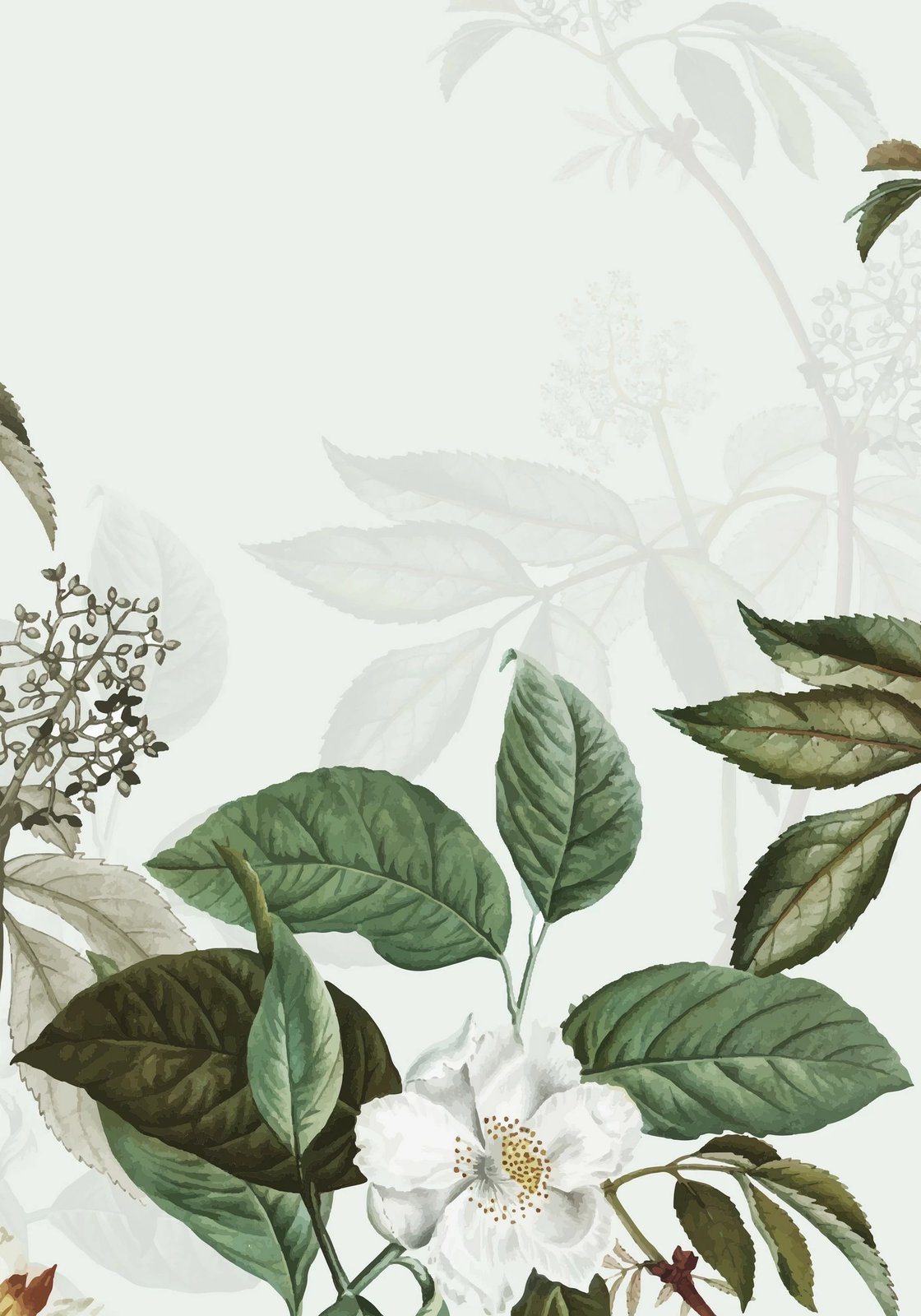 Set tapetash për banjo (2 copë), Mijolnir, CT-5321