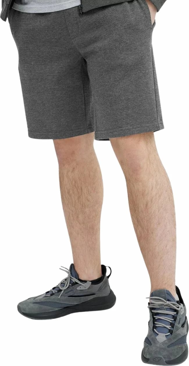Shorce për meshkuj 4F, gri