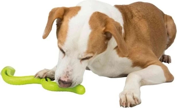 Lodër qen TRIXIE Snack-Snake 27cm, Gjelbër
