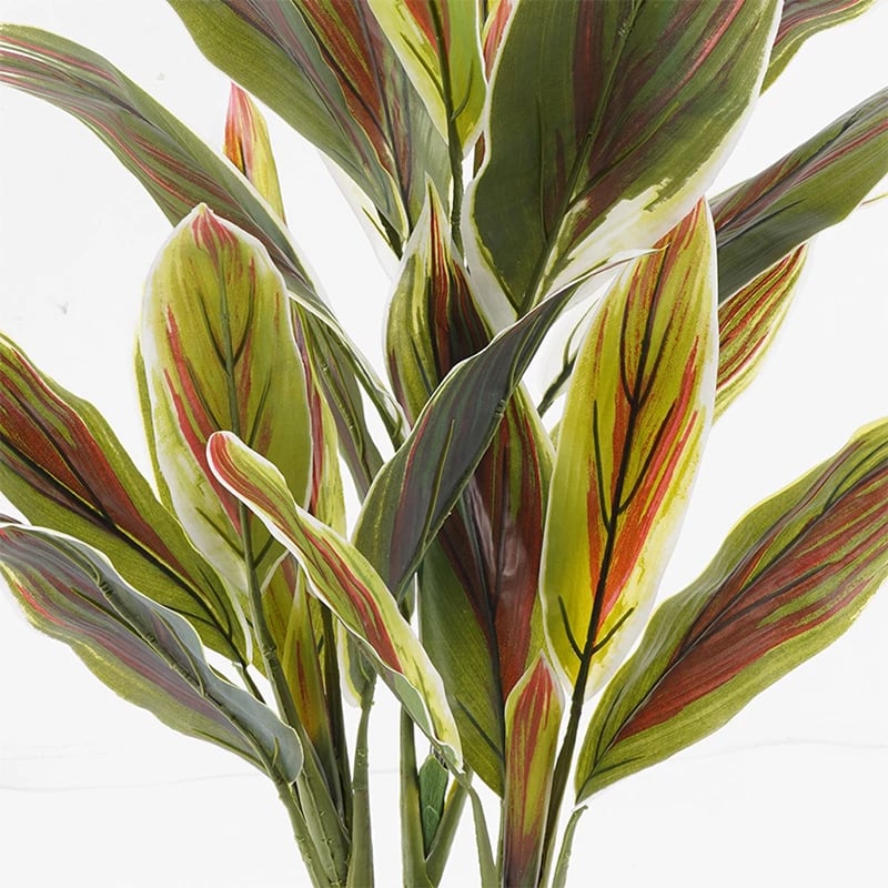 Bimë dekorative Cycas në vazo, ngjyrë e gjelbër, 55x80cm