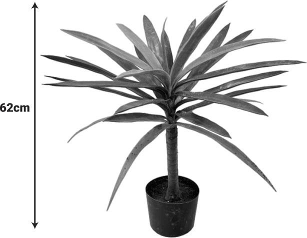 Bimë dekorative Dracaena palmë në vazo, ngjyrë e zezë-e gjelbër, H62cm, set prej 4 copash