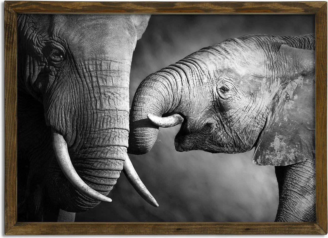 Pikturë dekorative me kornizë MDF, Wallity, OZM780, shumëngjyrëshe, 50x70x3.5cm