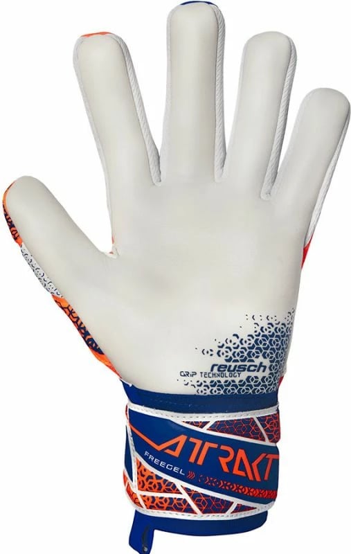 Doreza portieri Reusch, të arta