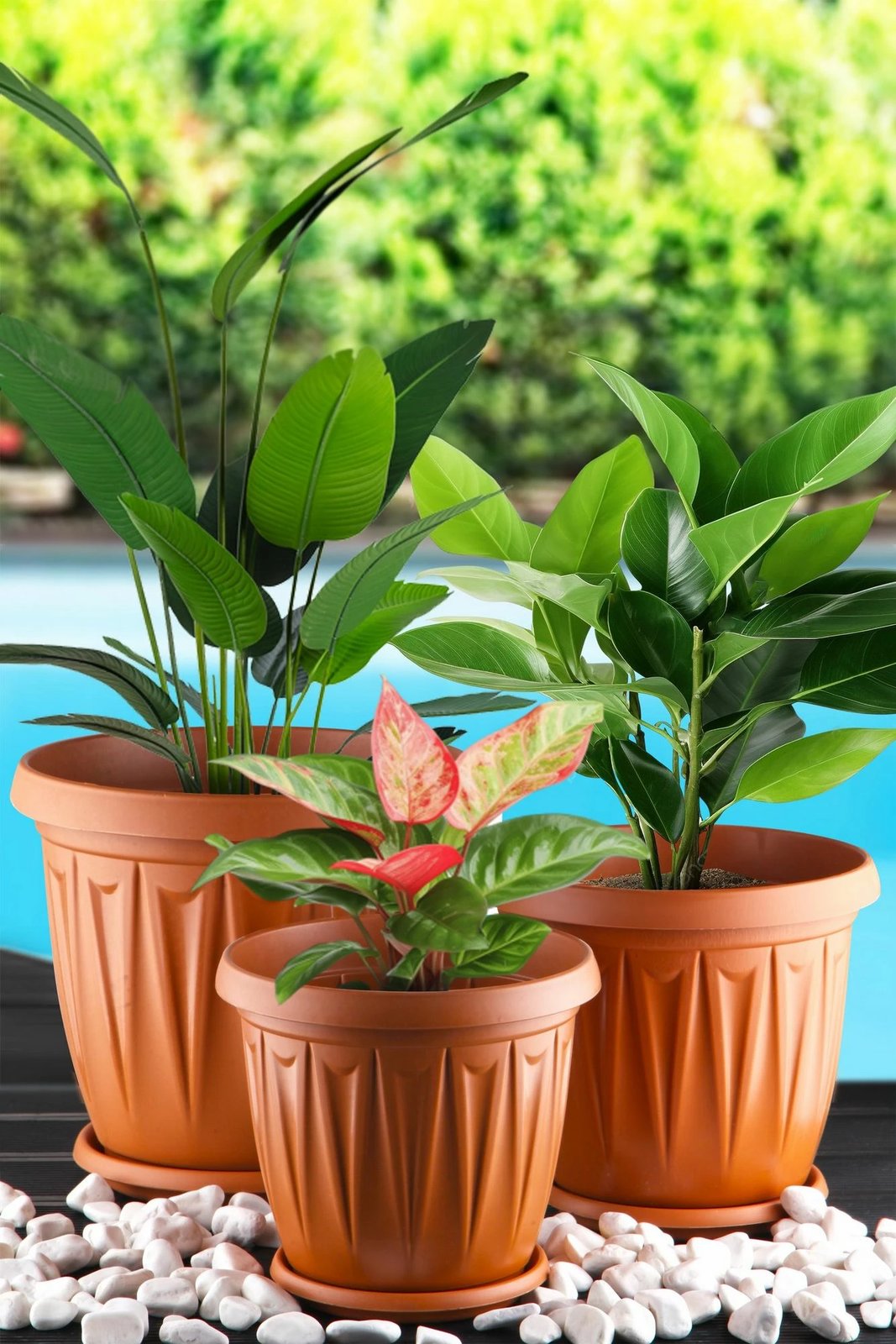 Set vazo dekorative, ngjyrë kafe, URGSKS-3, 3 copë