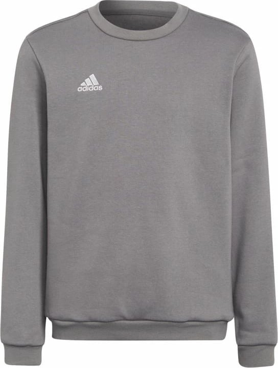 Duks për fëmijë Adidas Entrada 22, gri