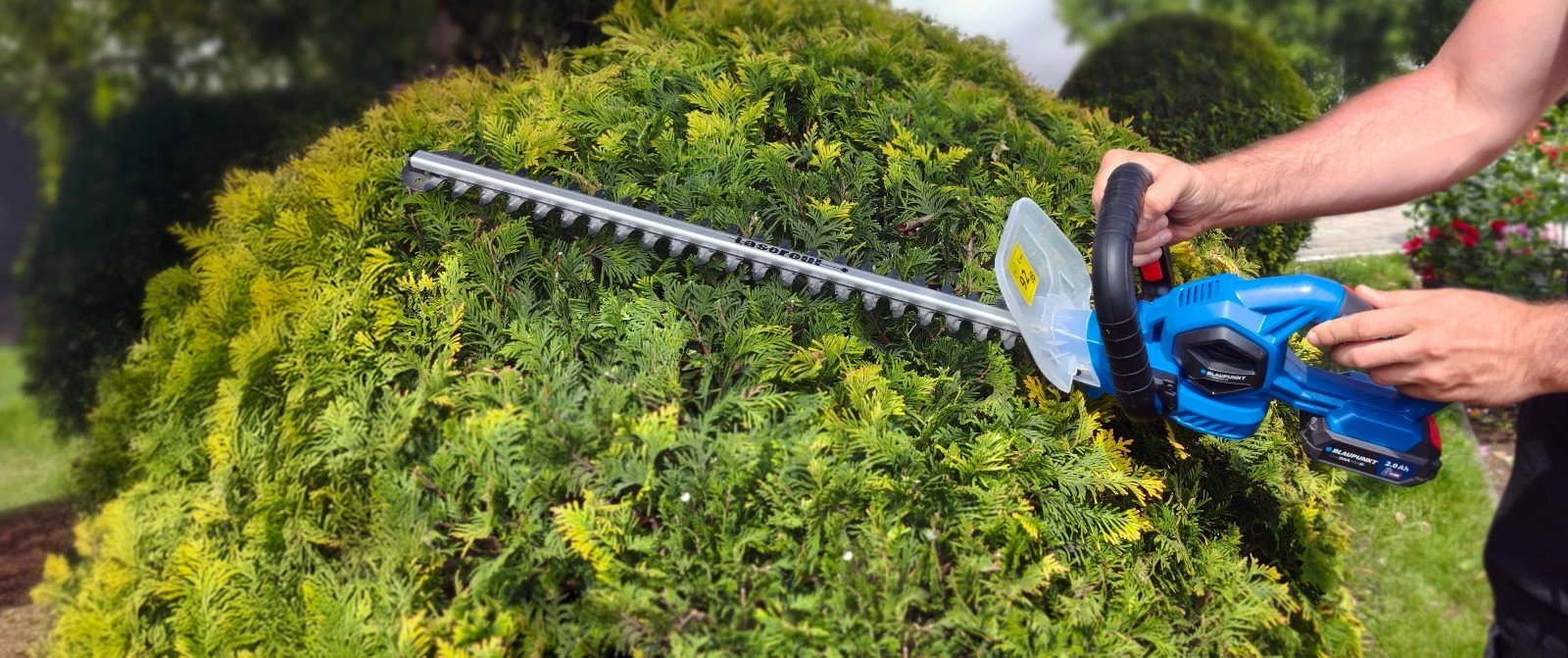 Prerëse Gardhi BLAUPUNKT CT6010