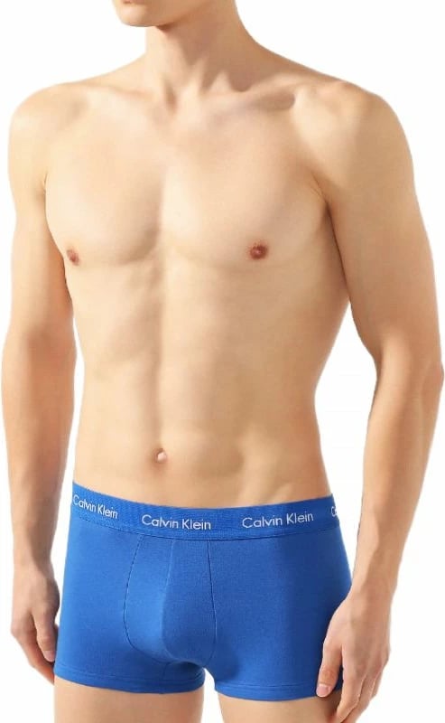 Të brendshme për meshkuj Calvin Klein, me ngjyra