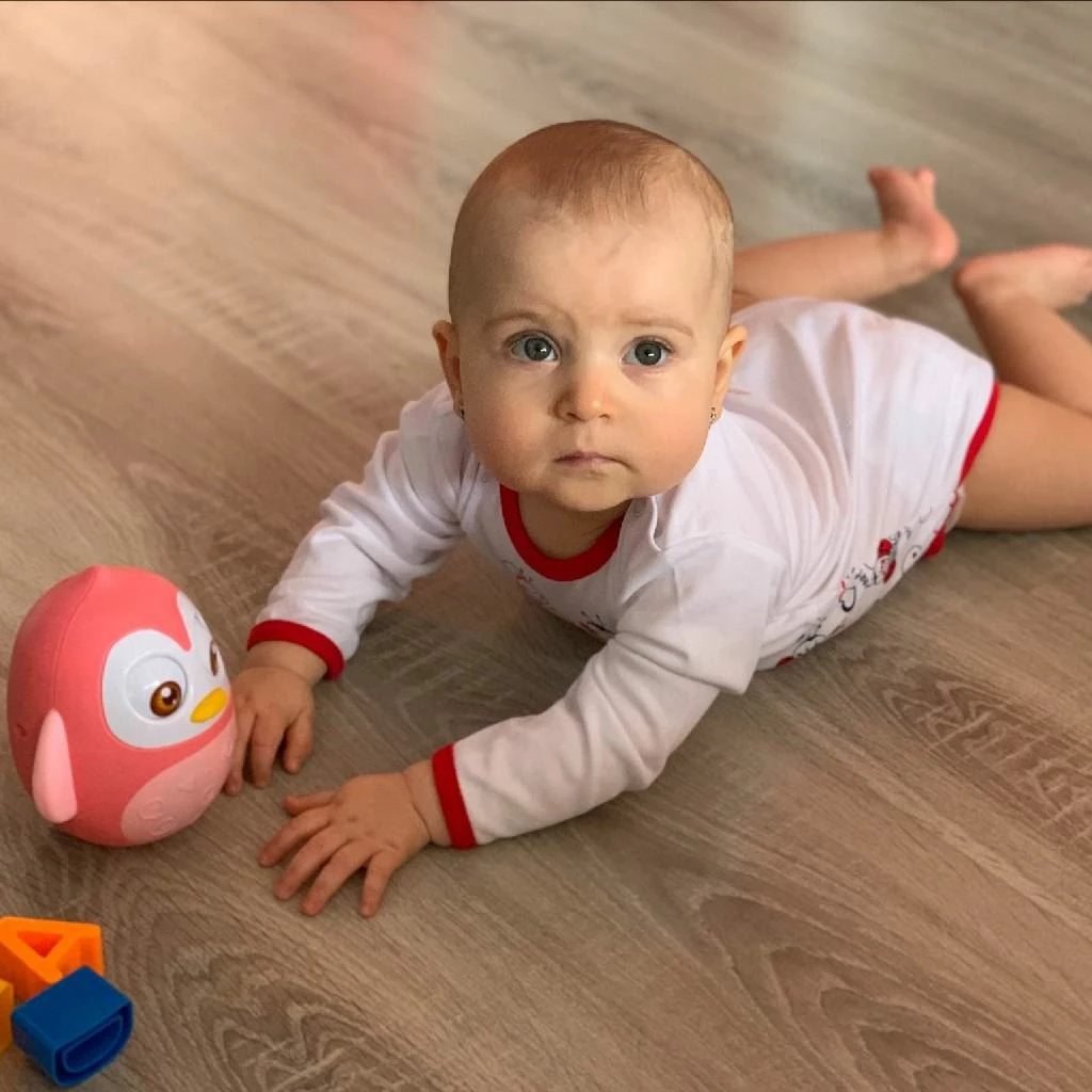 Lodër lëkundëse edukative, Baby Mix, Pinguin, 14 cm, me tingull, për 6+ muaj, rozë