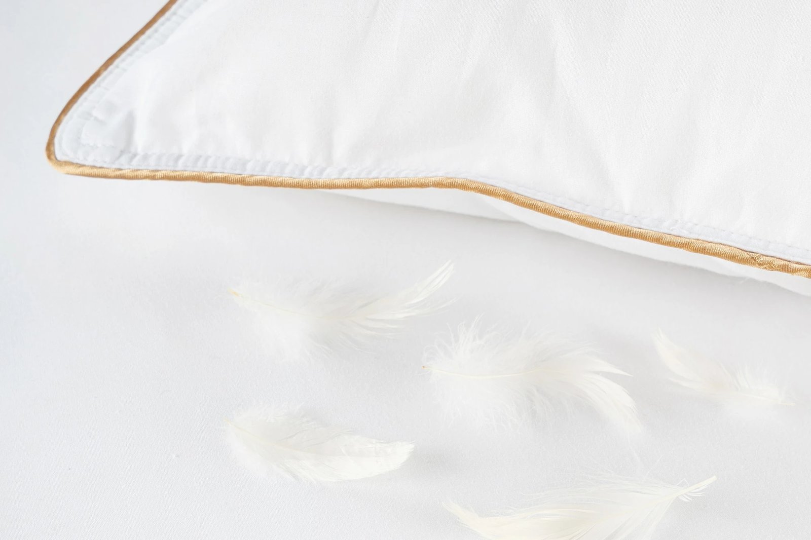 Jastëk L'essentiel, pambuk i bardhë, mbushje pupla dhe mikrogjel, 50x80cm