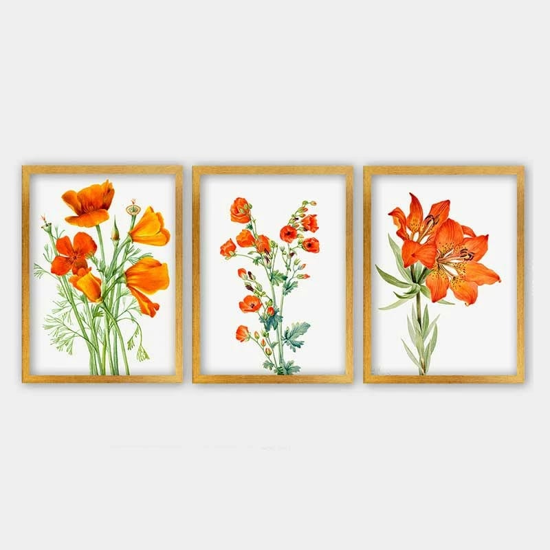 Piktura dekorative me kornizë (3 copë), Wallity, 3AC_12613512_3545