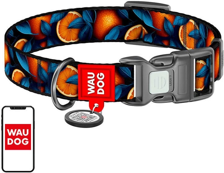 Qafore najloni për qen Waudog Oranges me QR kod, XL