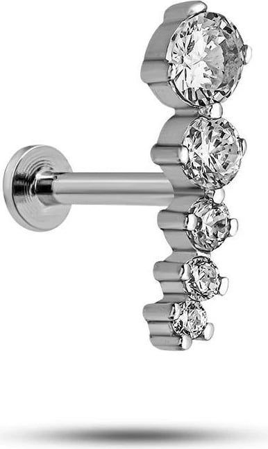 Vath argjendi, NRZ1000113