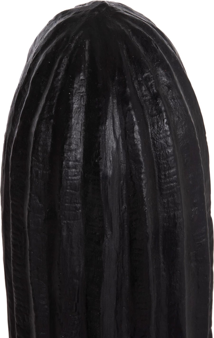 Dekor kaktusi për dysheme, ngjyrë e zezë, FH4386.01L, 63x37x150cm