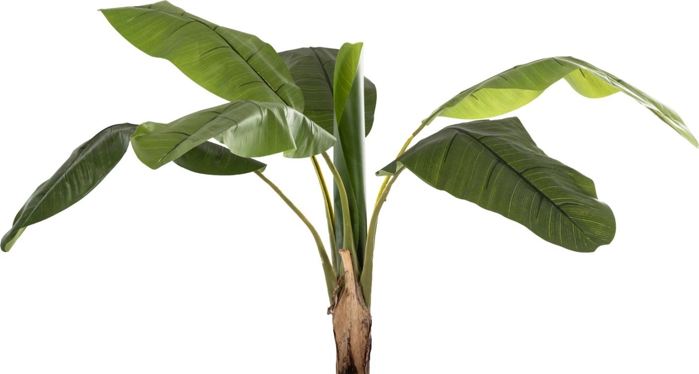 Bimë sintetike dekorative, pemë bananeje, FH7979, 180H cm