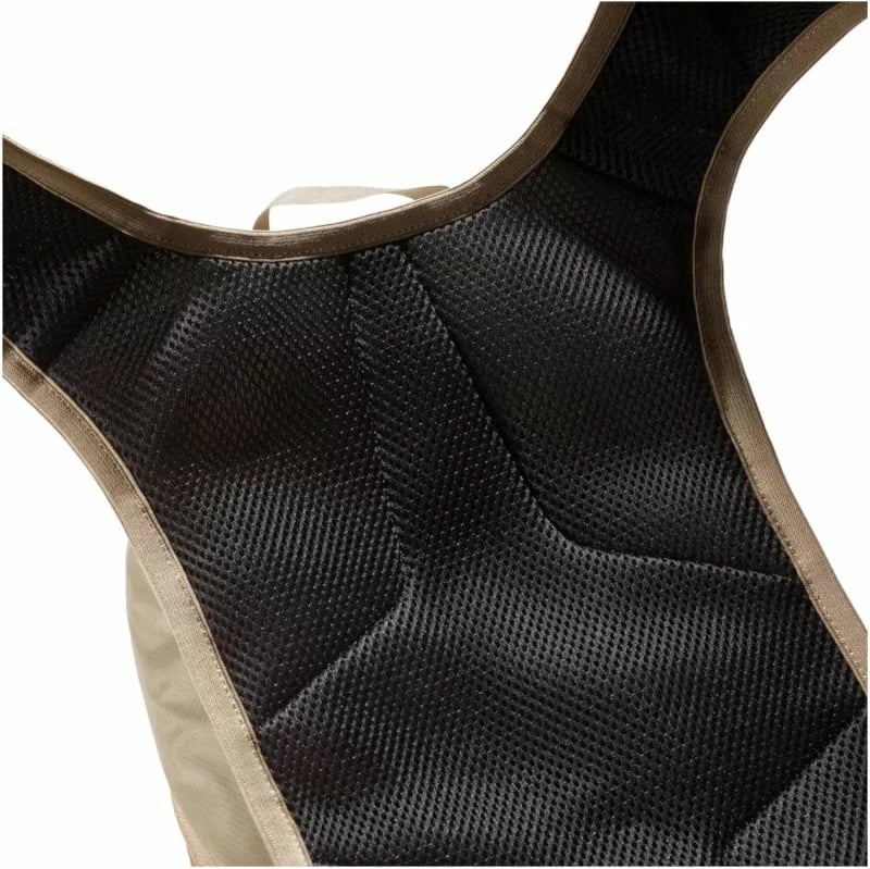 Aksesor Salomon, bezhë