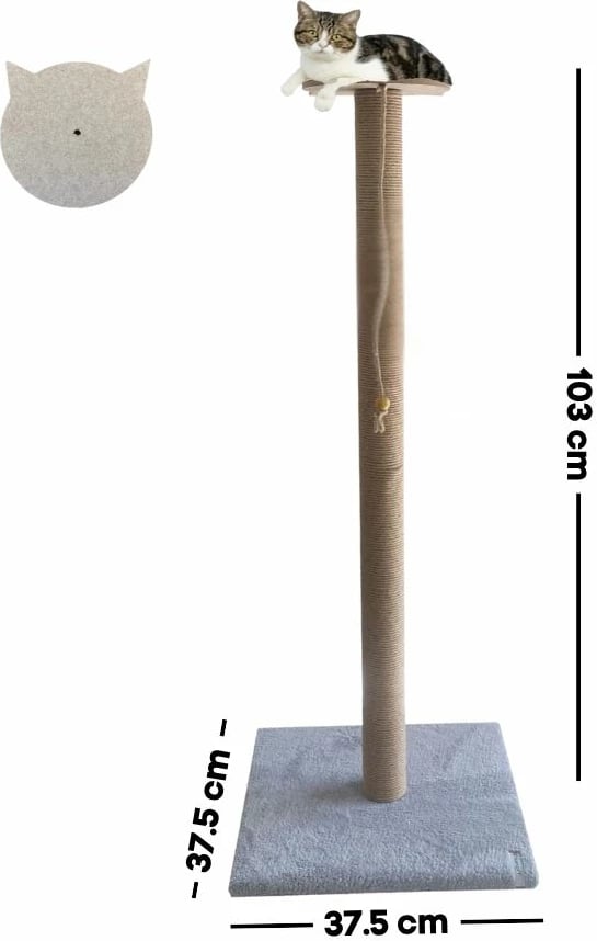 Dru për gërvishtje për mace, ngjyrë gri, Axel