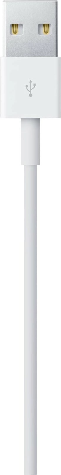 Apple Lightning cable - Lightning / USB - 2 m