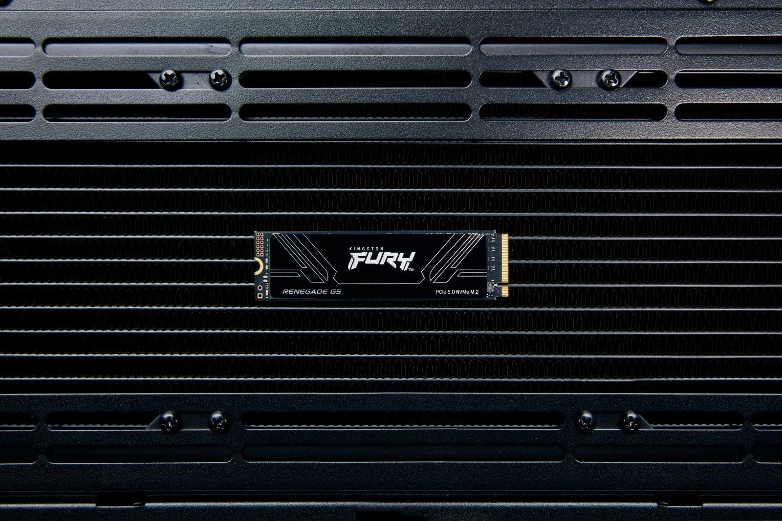 SSD Kingston FURY Renegade G5, 4TB, M.2 2280, PCIe 5.0 NVMe