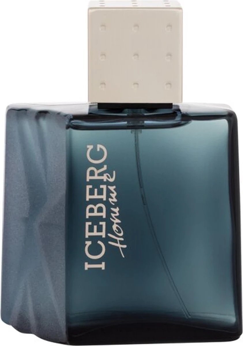 Eau de Toilette Iceberg Homme, 100 ml
