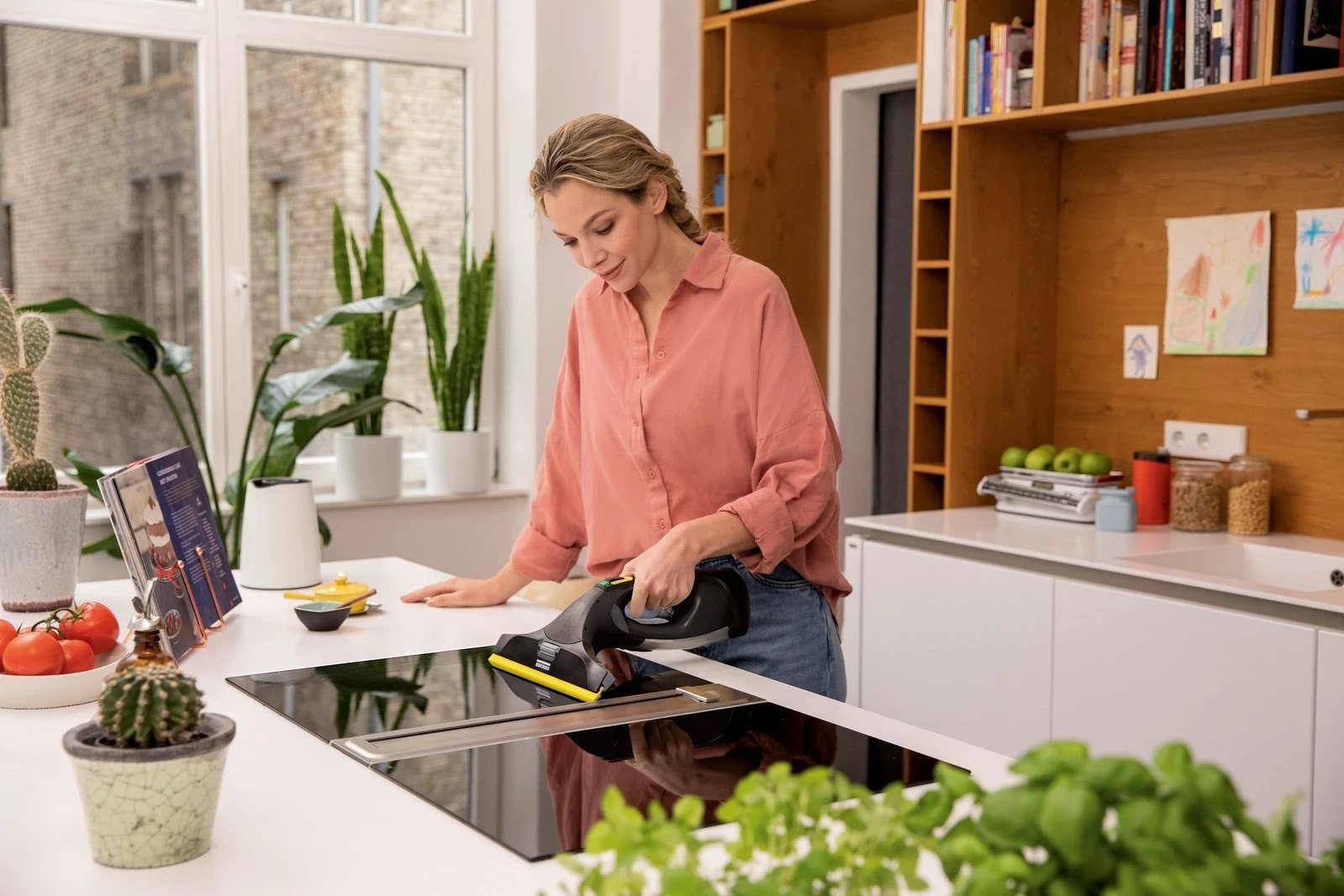 Pastrues elektrik dritaresh KARCHER WV 5 Plus Anniversary Edition, i zi