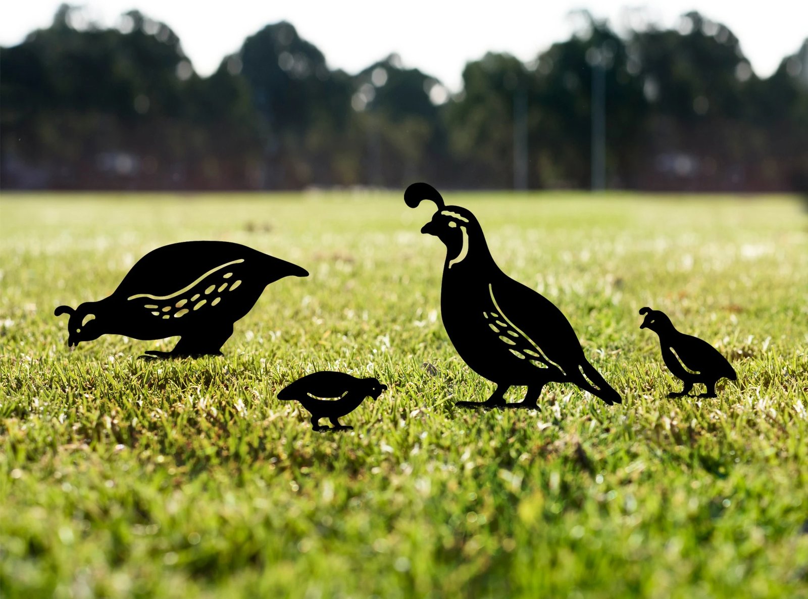 Objekte dekorative për kopsht, dizajn Aberto, Fam 05, set me 4 copë