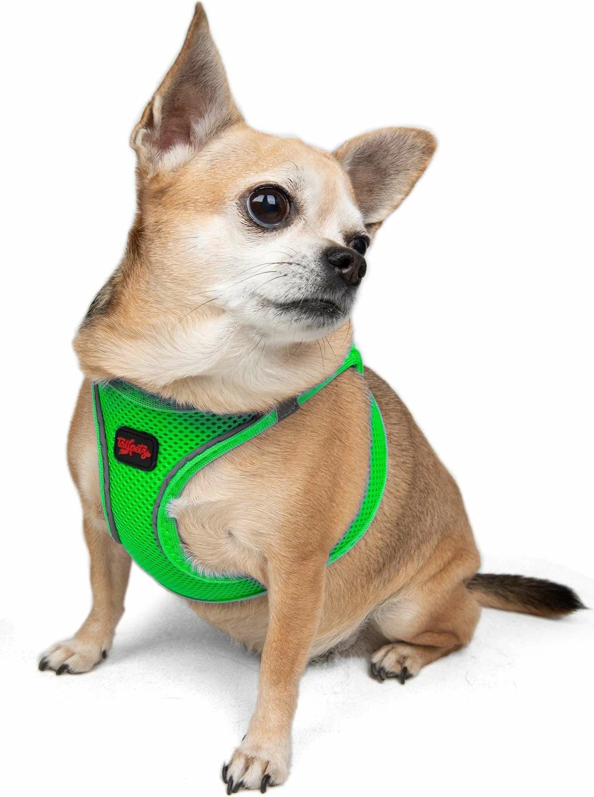 Parzmore për qen, ngjyrë Neo Green, Paws & Whiskers, Air-Mesh, S