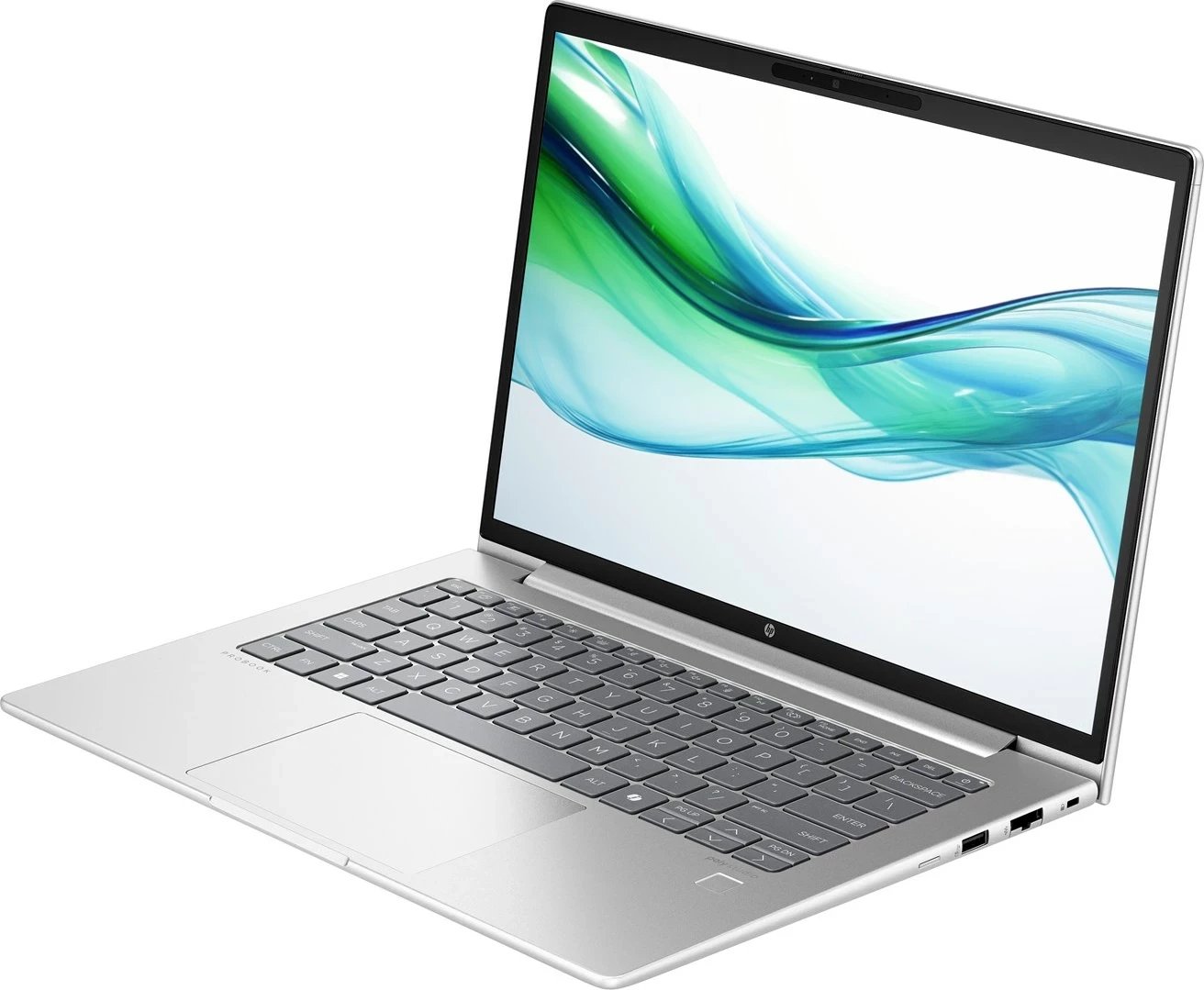 Laptop HP ProBook 445 G11, AMD Ryzen 3 7335U, 14", 8 GB RAM, 512 GB SSD, Argjend