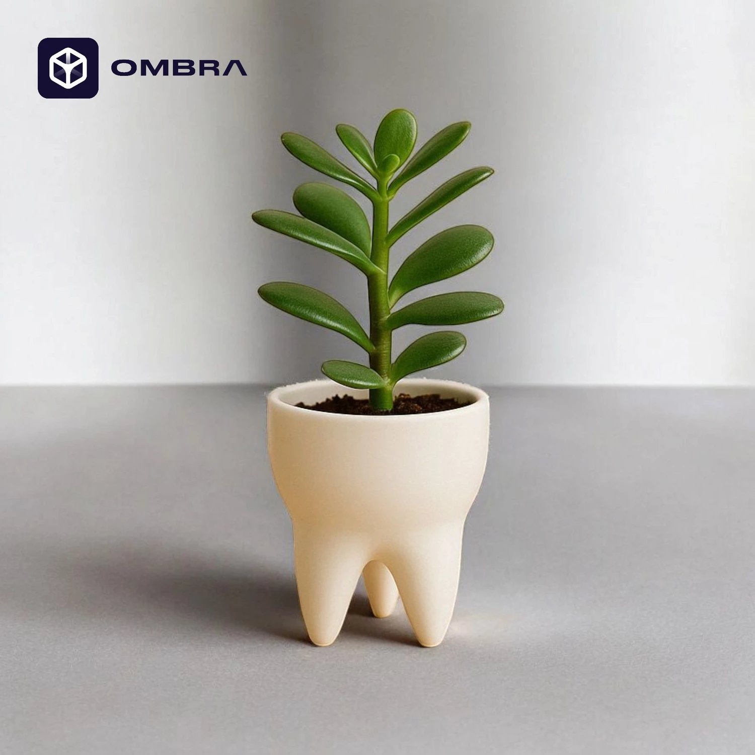 Vazo Dekorative në formë Dhëmbi- e bardhe