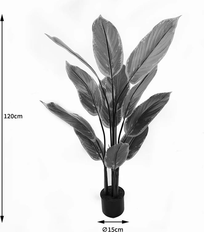 Bimë dekorative në vazo Calathea Inart, ngjyrë e gjelbër, 68x120cm