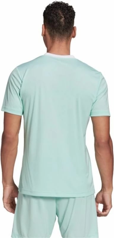 Maicë adidas për meshkuj, e gjelbër