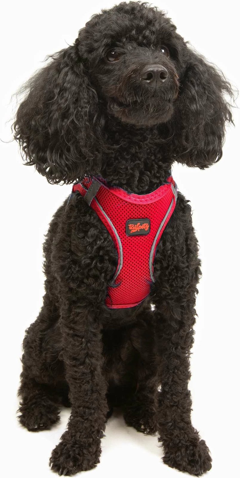 Parzmore për qen, Air-Mesh, ngjyrë garnet